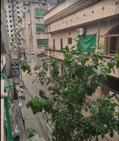 Capital Group of Hostels (Girls)