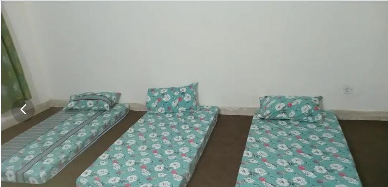 Boys Inn Hostel (Faisal Town), photo 4