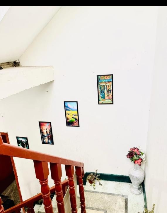 Palz Care Girls Hostel (I-10), photo 2