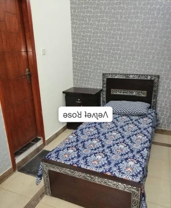 The Velvet Rose Girls Hostel (F-8 Markaz), photo 3