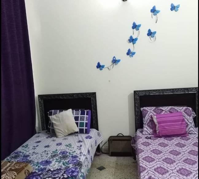 Homstel Girls Hostel (F-8), photo 3