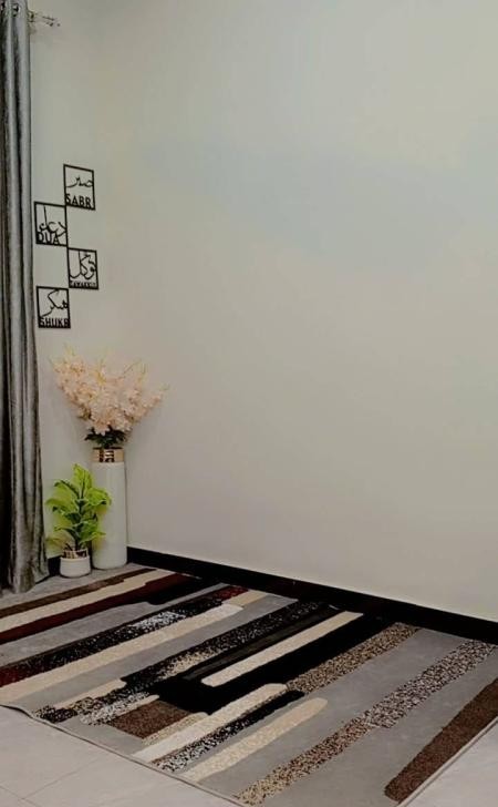 Minha's Inn Girls Hostel (I-10), photo 4