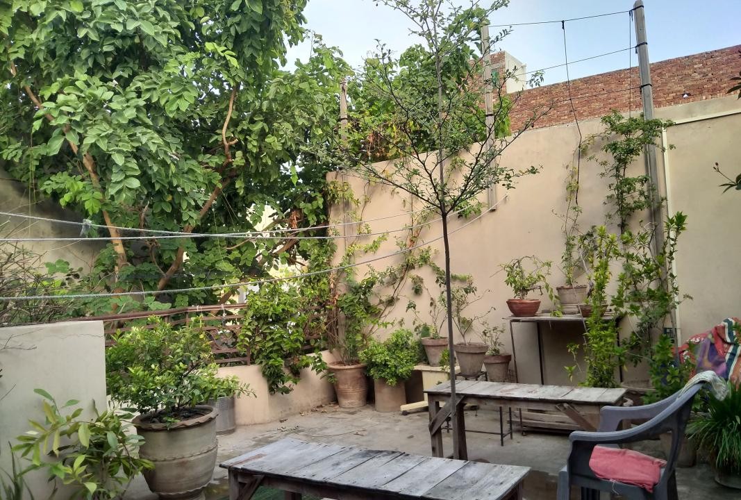 Tulip Girls Hostel Multan (Peer Khursheed Colony), photo 2